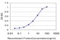 ADAMTS13 Antibody (monoclonal) (M06)