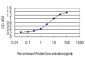 ALAS1 Antibody (monoclonal) (M01)