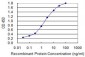 ALAS1 Antibody (monoclonal) (M03)