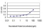 ASNS Antibody (monoclonal) (M01)