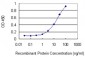 BAZ1B Antibody (monoclonal) (M01)