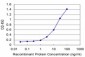 DEGS1 Antibody (monoclonal) (M04)