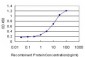 DSC3 Antibody (monoclonal) (M01)