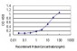 LGMN Antibody (monoclonal) (M02)