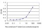 PDHB Antibody (monoclonal) (M03)