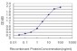 PGAM1 Antibody (monoclonal) (M01)