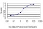 STAR Antibody (monoclonal) (M01)