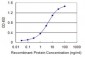 SUOX Antibody (monoclonal) (M01)