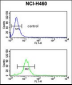 PPAP2C Antibody (C-term)