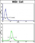 DDX53 Antibody (C-term)