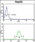 HOMER1 Antibody (N-term)