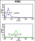 MFAP5 Antibody (C-term)