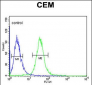 SMYD3 Antibody (Center)