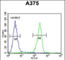 LUM Antibody (Center)