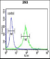 WTX Antibody (Center)