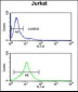 GAS7 Antibody (C-term)