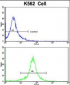 TALDO1 Antibody (Center)