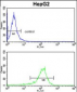 GGTLA1 Antibody (N-term)