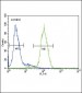 GLA Antibody (N-term)