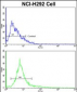 ALKBH8 Antibody (C-term)