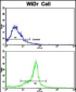 PTP4A2 Antibody (Center)