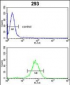 GNPAT Antibody (C-term)