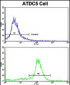 NDUFS4 Antibody (C-term)