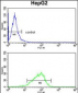 GPD1 Antibody (N-term)