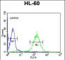 CBLB Antibody (Center)