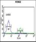 FNDC5 Antibody (C-term)