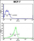 RASL11B Antibody (N-term)