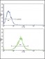 IL18RAP Antibody (N-term)