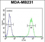 GPA33 Antibody (C-term)