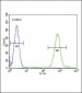 SLC8A1 Antibody (Center)