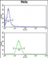 INSIG1 Antibody (N-term)