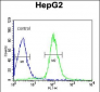 DIPA Antibody (Center)