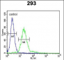 MPP6 Antibody (Center)