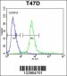 KCTD12 Antibody (Center)