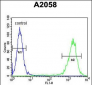 PTMS Antibody (C-term)