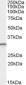 Goat Anti-PSME1 (isoform 1) Antibody