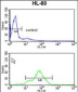 TSPAN1 Antibody (Center)