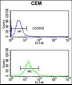 TCHP Antibody (Center)