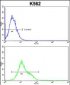 CROT Antibody (N-term)