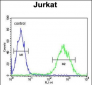 PRUNE Antibody (C-term)