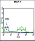 ETS2 Antibody (Center)