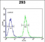 CDC45L Antibody (Center)