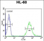 FUT6 Antibody (Center)