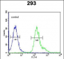 PMPCB Antibody (N-term)