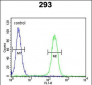 Roundabout 4 Antibody (N-term)