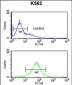 SMAGP Antibody (Center)